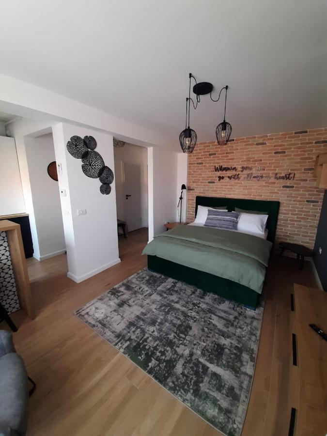 City Center View Studio Apartment 1 Timisoara Bagian luar foto